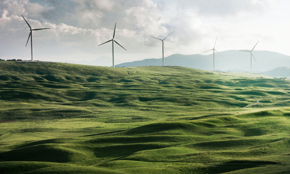 Wiese mit Windrädern