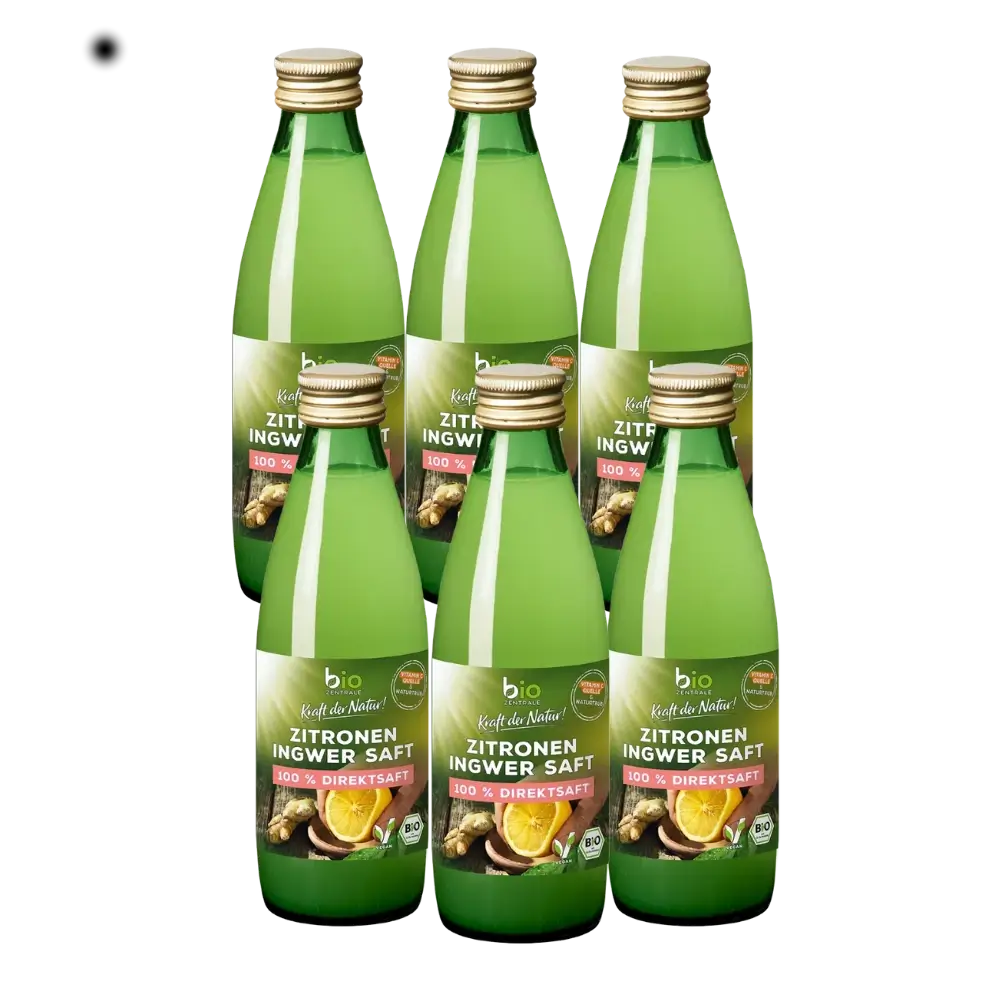 biozentrale Zitronen Ingwer Saft 6 x 250ml