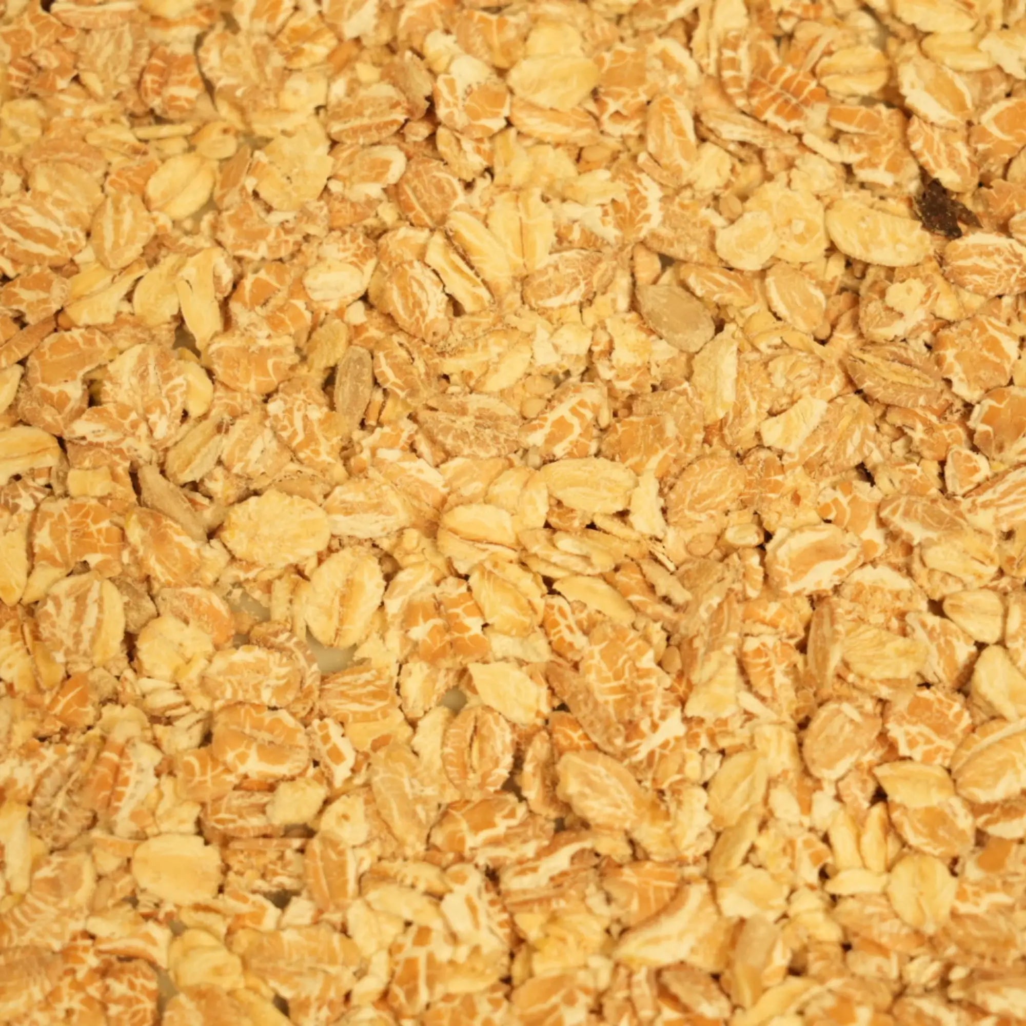 biozentrale Basis-Müsli