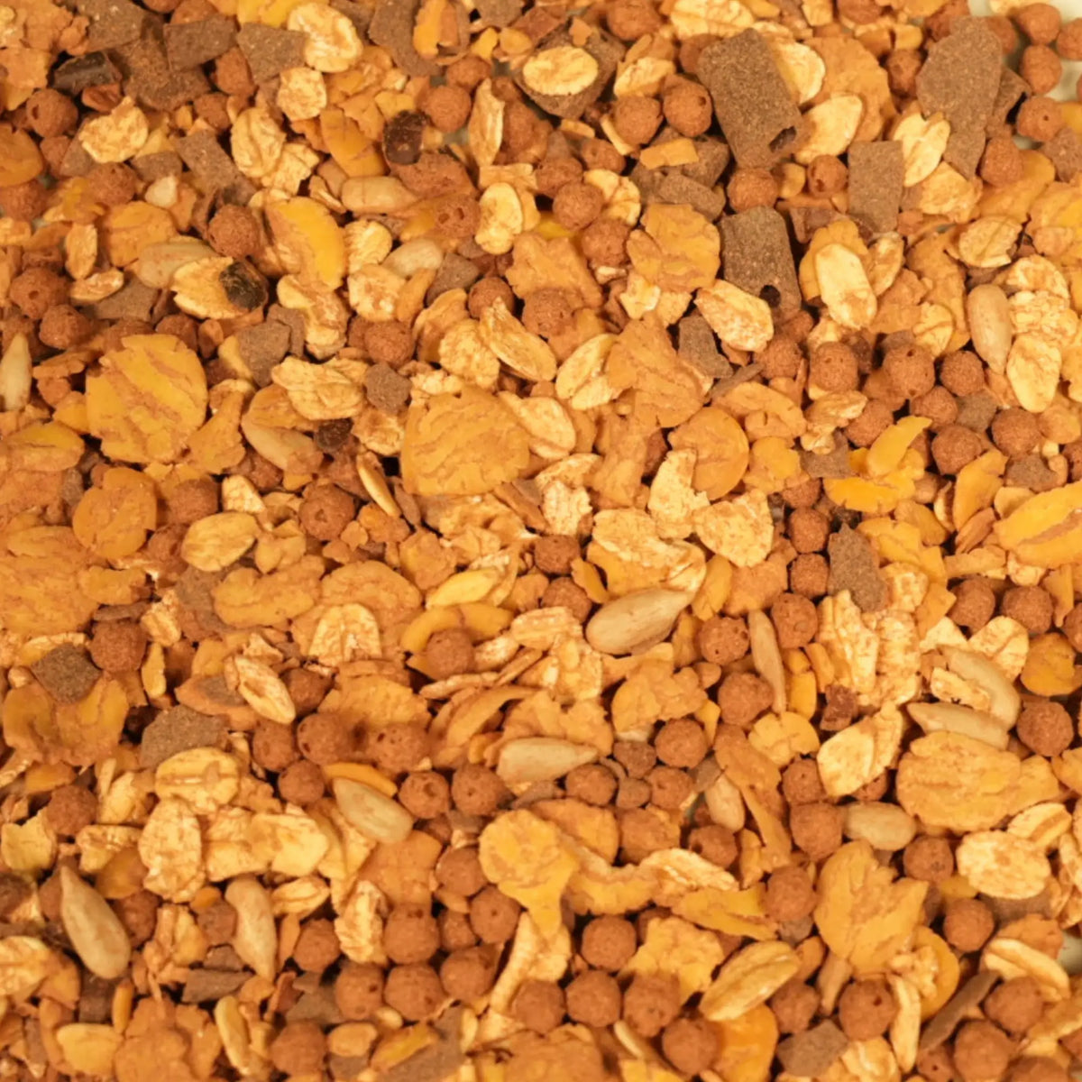 biozentrale Proteinmüsli Schoko