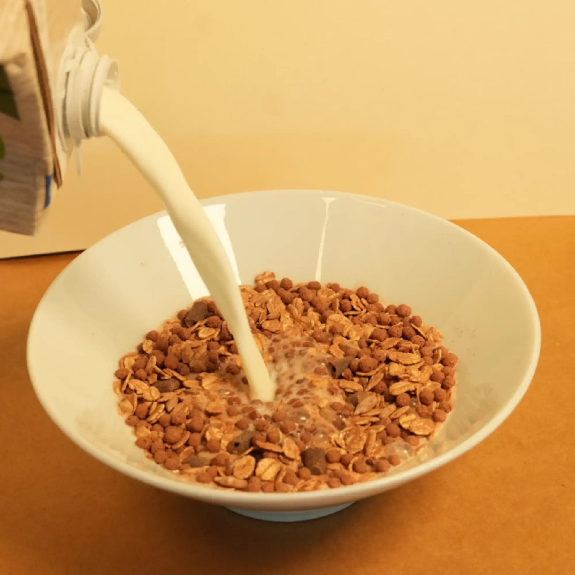 biozentrale Müsli Zartbitter