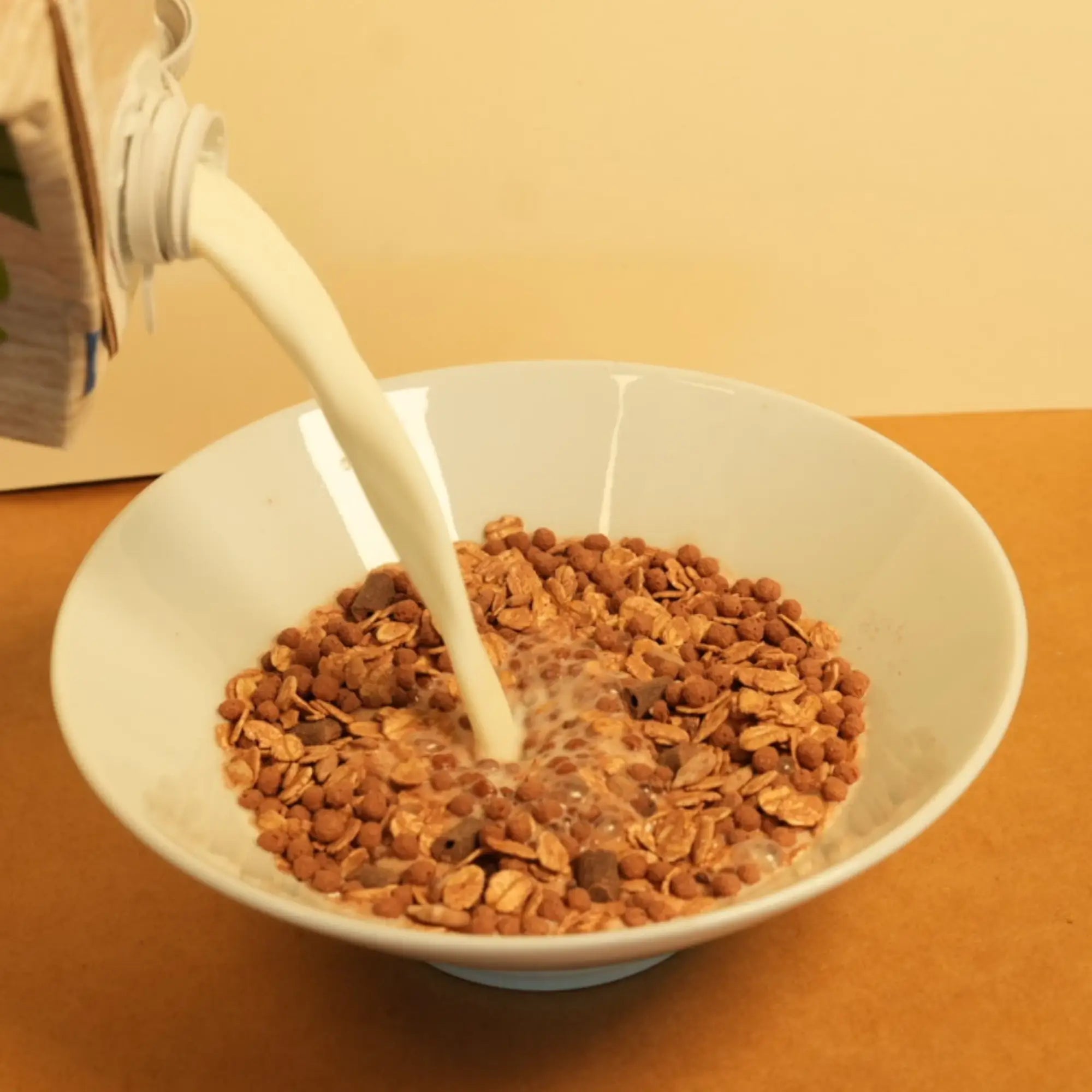biozentrale Müsli Zartbitter