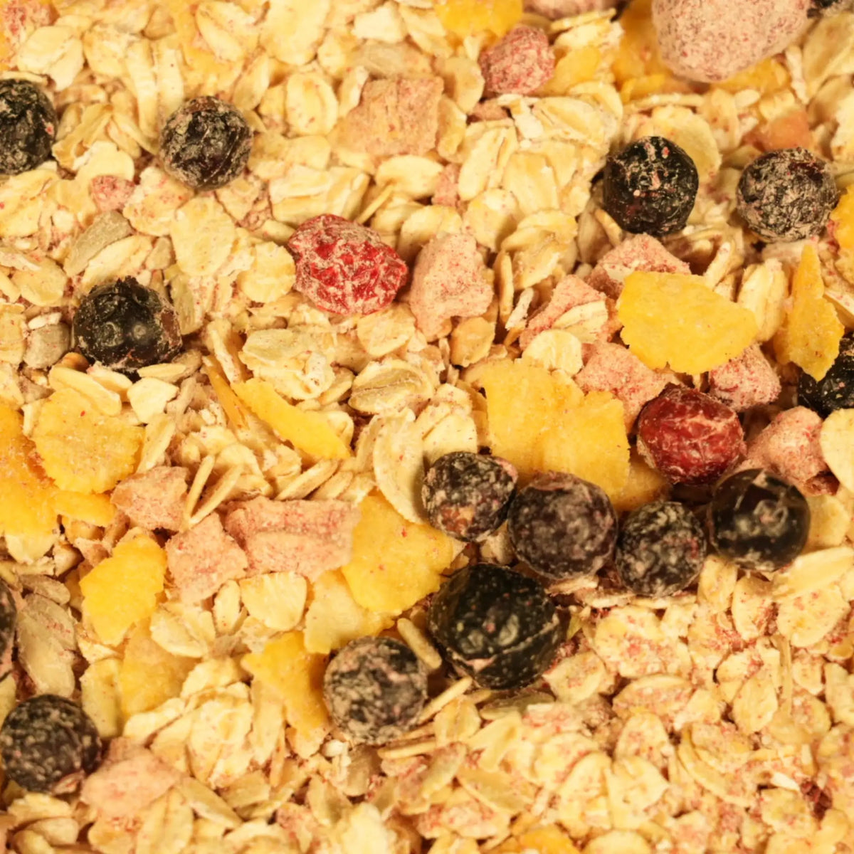 biozentrale Müsli Himbeere Johannisbeere