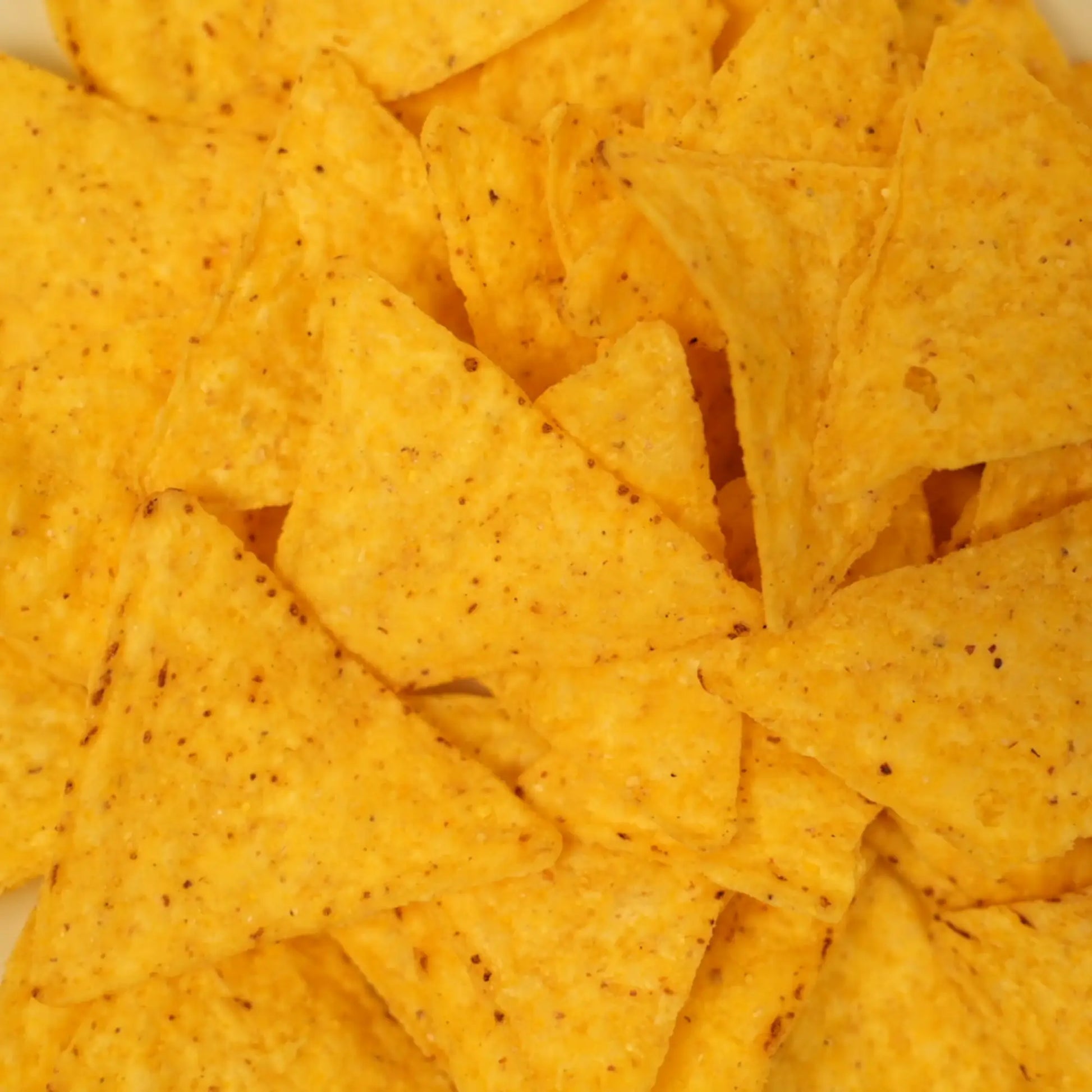 biozentrale Tortilla Chips Meersalz